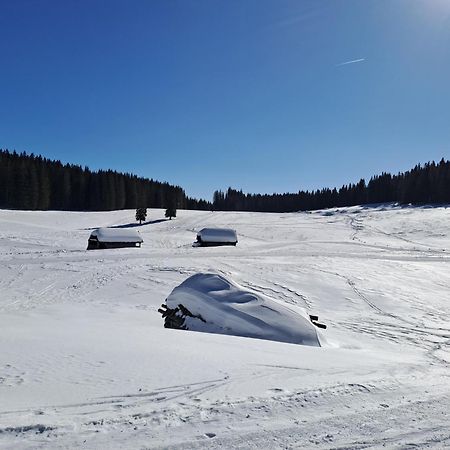 Zgornje Gorje Villa Pokljuka מראה חיצוני תמונה