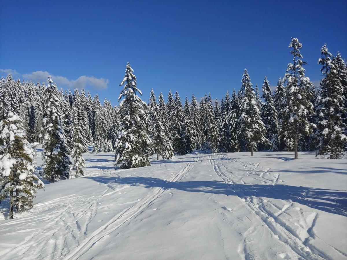 Zgornje Gorje Villa Pokljuka מראה חיצוני תמונה
