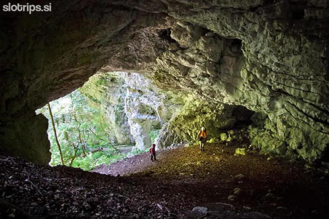 Zgornje Gorje Villa Pokljuka מראה חיצוני תמונה