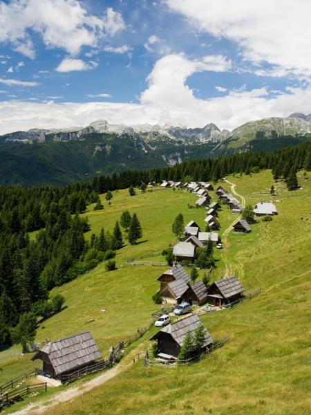 Zgornje Gorje Villa Pokljuka מראה חיצוני תמונה