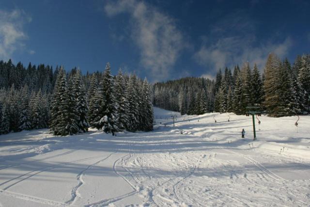 Zgornje Gorje Villa Pokljuka מראה חיצוני תמונה