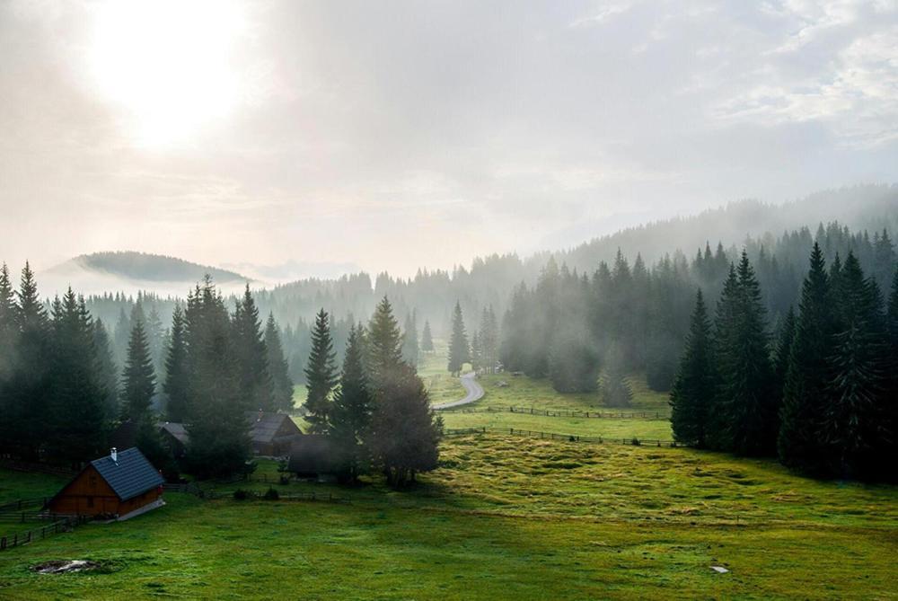 Zgornje Gorje Villa Pokljuka מראה חיצוני תמונה