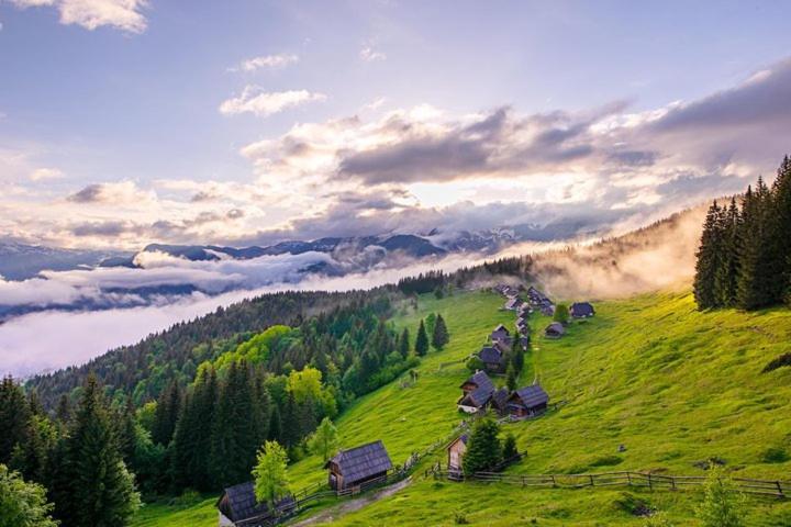Zgornje Gorje Villa Pokljuka מראה חיצוני תמונה