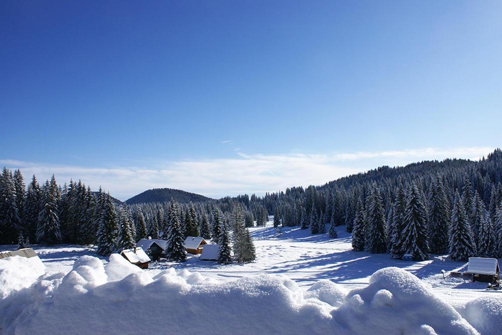 Zgornje Gorje Villa Pokljuka מראה חיצוני תמונה
