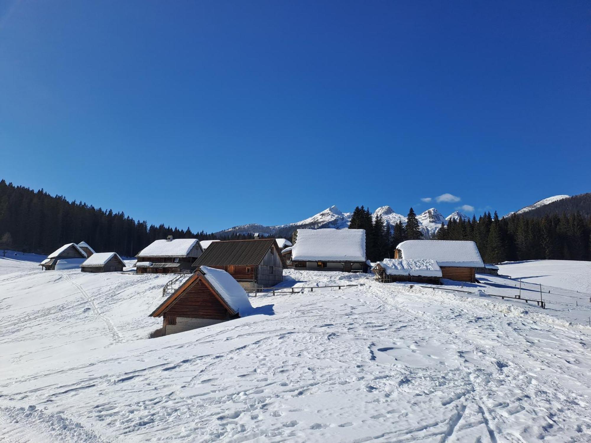 Zgornje Gorje Villa Pokljuka מראה חיצוני תמונה